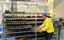 Xóm cá lóc nướng ở TP HCM đông nghẹt người trong ngày vía Thần Tài