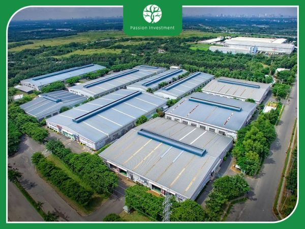 Nhà đầu tư nên lựa chọn cổ phiếu nhóm ngành nào trước biến động lớn của thị trường