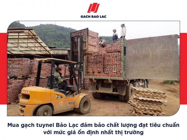 Giá gạch tuynel tại Hà Giang: Báo giá mới nhất cho chủ công trình xây dựng