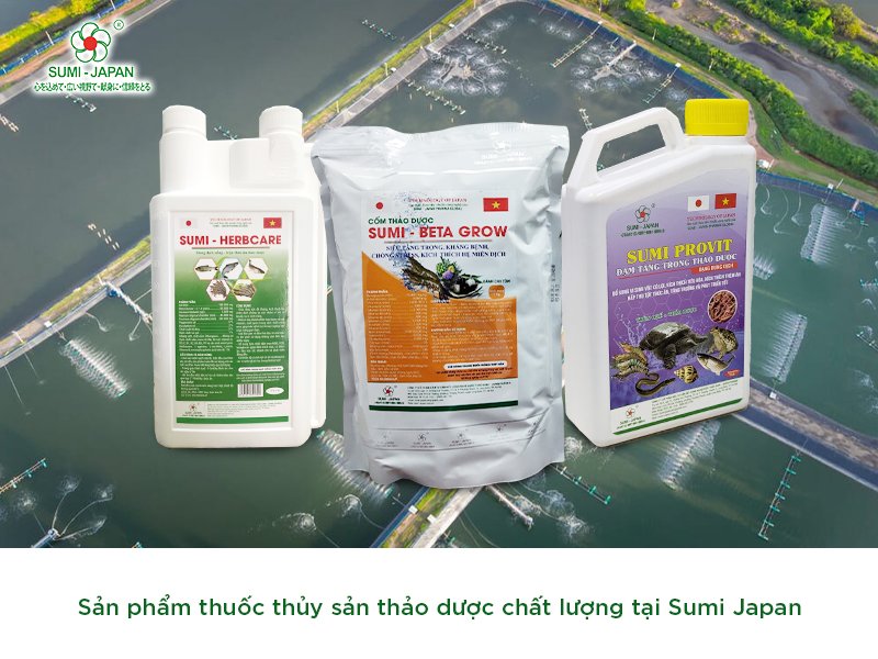 Mua thuốc thủy sản thảo dược ở đâu đảm bảo chất lượng?