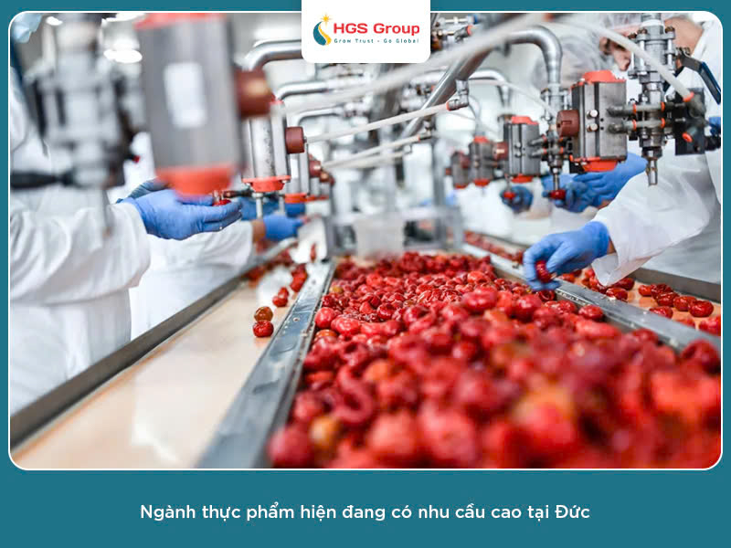 Cơ hội làm việc ngành thực phẩm tại Đức cho người tốt nghiệp đại học trái ngành