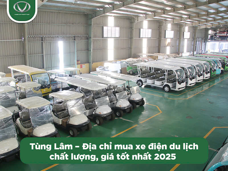 Nắm những bí quyết này, doanh nghiệp sẽ tối ưu chi phí khi mua xe điện du lịch