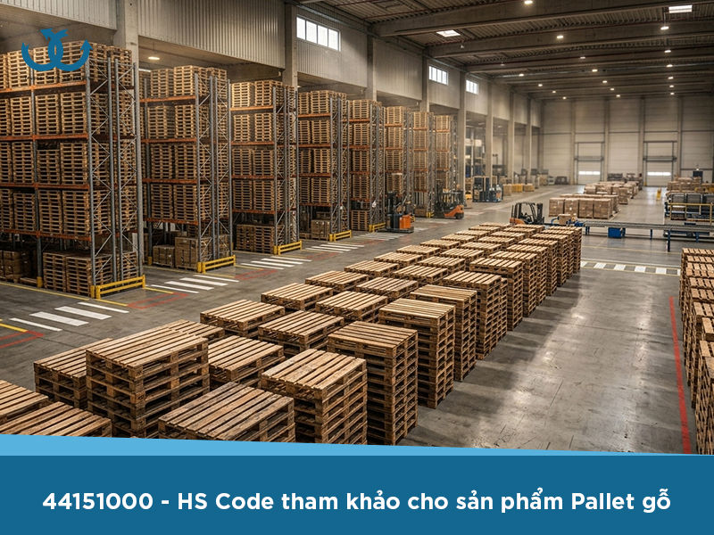 Xuất khẩu pallet gỗ cần những thủ tục gì?