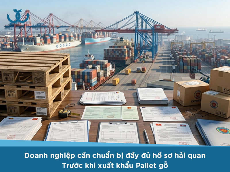 Xuất khẩu pallet gỗ cần những thủ tục gì?