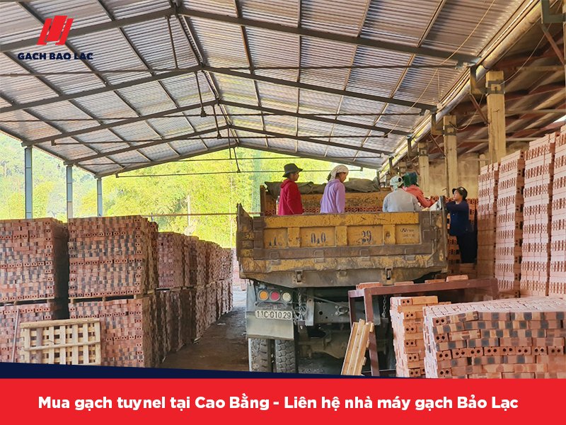 mua gạch tuynel tại Cao Bằng